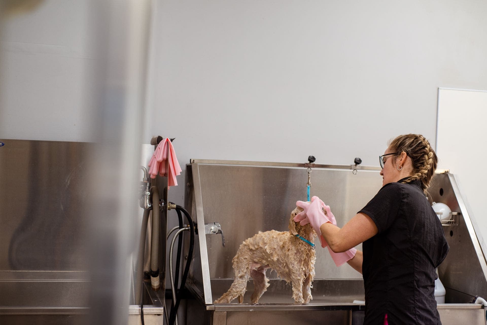 Pet care and grooming services